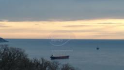 У Ялтинській затоці зафіксували балкери, які можуть перевозити вкрадене українське зерно